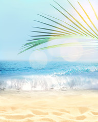 Fototapeta na wymiar Summer beach background. Sand, palm leaf, sea and sky.