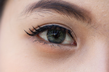 Obraz premium Close up eye with contact lens, macro shot. Beautiful woman single eye surface close up. Beauty cosmetic female concept.