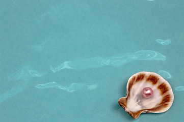 Fototapeta na wymiar Sea shells and pink pearl dream and decoration closeup