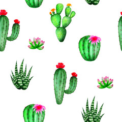 Watercolor cactus and succulents seamless pattern. Hand-drawn succulents collection
