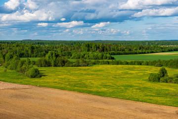 Fototapeta na wymiar green meadow under blue sky in countryside