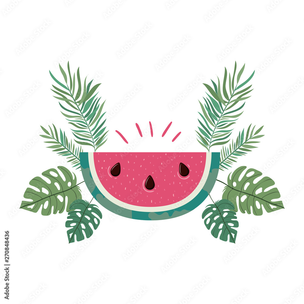 Sticker portion of watermelon and white background