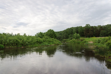 Obraz na płótnie Canvas River in forest