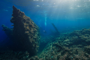 Fototapeta na wymiar Diver on side of the Chrisoula Ship Wreck