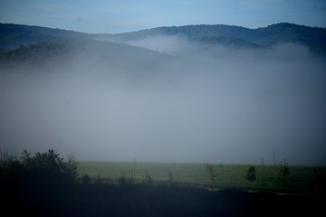 Fototapeta na wymiar spring sunrise. The fog dissolves slowly and the sun begins to shine. Vitoria-Gasteiz (Alava), Basque Country, Spain. cerro de las neveras, anillo verde. (hill of refrigerators, green ring)