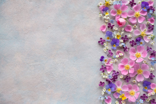 Floral background with spring flowers and space for text.