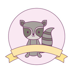 cute raccoon animal in frame circular with ribbon