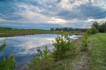 Obraz premium Evening landscape on the lake in the forest in the spring.