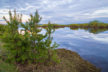 Evening landscape on the lake in the forest in the spring.