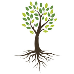 Vector illustration Tree with Roots