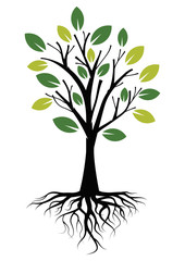 Fototapeta premium Illustration Green Tree with Roots