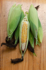Mature Corns