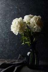 white peonies against a dark background