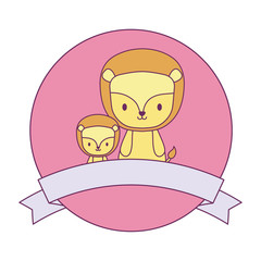 cute lions animals in frame circular with ribbon