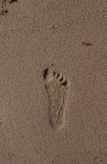 Fototapeta na wymiar Footprint on a wet, sandy beach. Water is washing upp, about to erase the print.