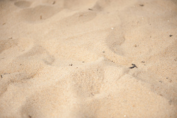 Fine and warm sand on a beach.