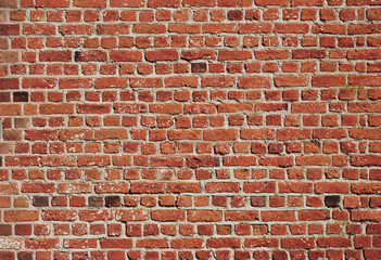 Background of small red bricks