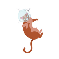 Funny cats astronauts in space isolated on the white background, vector illustration. Cat as a cosmonaut, space suit, funny futuristic design. Astronaut. Kitty in astronaut helmet Flying in space.