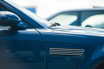 Details of the side of a blue car.