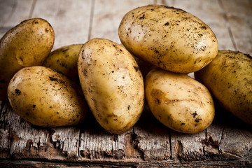 Newly harvested dirty potatoes heap on rustic wooden background.