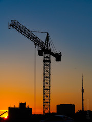 crane at sunset