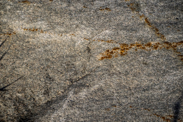 Background of natural stone. A snapshot of granite boulder (Latin 
