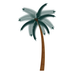 tree palm beach summer icon
