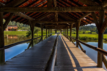 Covered brigge in the park on a sunny day
