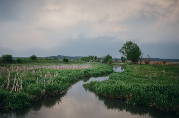 evening, the river flows through the grass wild nature