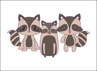 cute group of raccoons animals