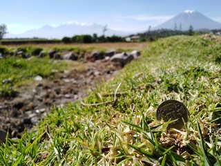 Moneda a la Intemperie 2
