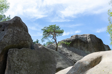 Przadki rock stone near Krosno in Poland - obrazy, fototapety, plakaty