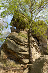 Przadki rock stone near Krosno in Poland