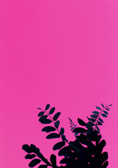 tree branch with leaves on bright pink background