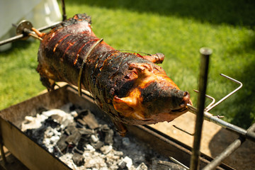 Pork meet on fire, barbecue at picnic, holiday with friends