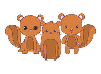 cute chipmunks animals vector illustration design