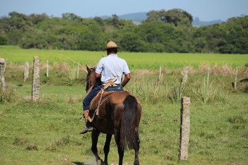 auf der farm bei den gauchos
