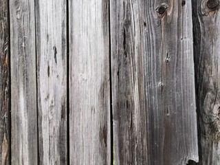 Fototapeta premium Wood white gray plank fence background texture