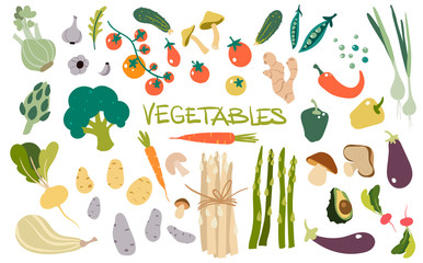 Hand drawn fresh delicious vegetables. Package of healthy and tasty vegan products, healthy vegetarian food.