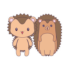 cute porcupines animals isolated icon