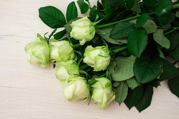 White roses on a white wooden background.