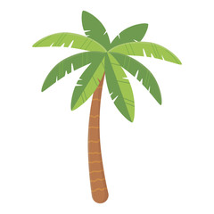 Palm tree design, Summer vacation vector illustration