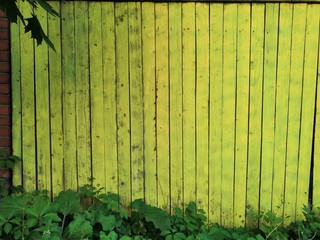 Wood fence yellow and plant leaves green background bright
