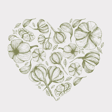 Vector green background with garlic illustration Hand drawn heart shape food image