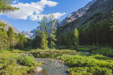 Obraz premium River in the Kuiguk Valley. Altai mountains landscape
