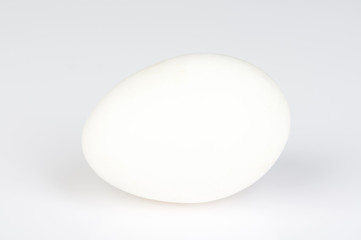 One white egg