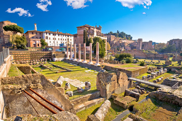 Ancient Rome Forum Romanum and Palatine hill scenic view - obrazy, fototapety, plakaty