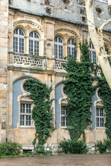 Obraz premium Old architectural landmark of Budapest with green ivy winds
