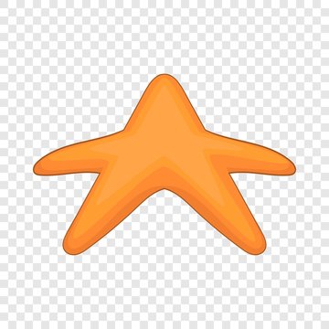 Starfish icon. Cartoon illustration of starfish vector icon for web design
