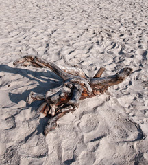 Plaże Bałtyku-Łeba